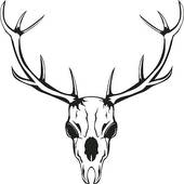 Deer Clipart And Illustrations
