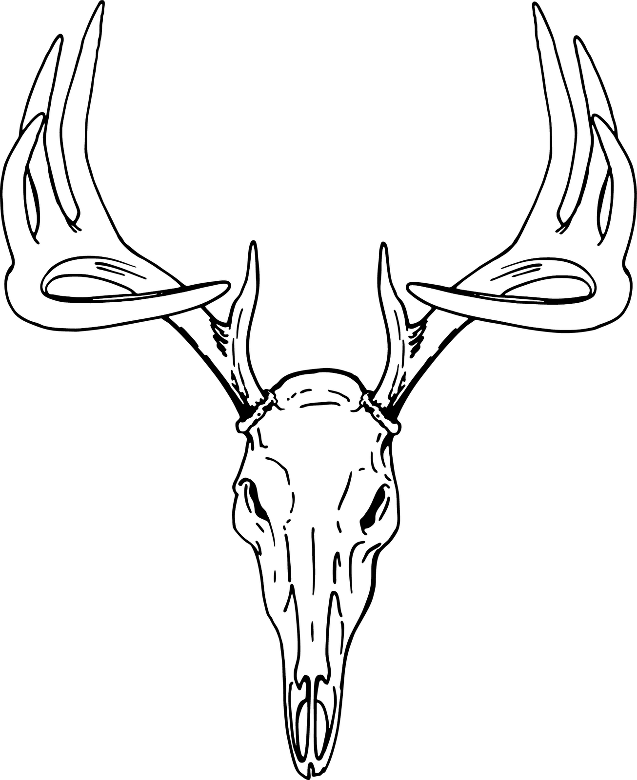 Deer Skull Clip Art Graphics