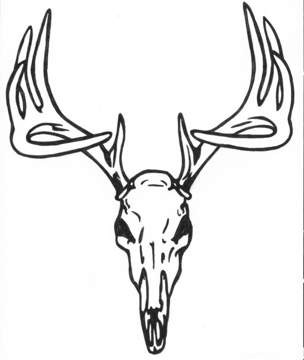 Deer Skull Graphics Pictures   Images For Myspace Layouts