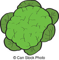 Kale Clipart Vector Graphics  91 Kale Eps Clip Art Vector And Stock