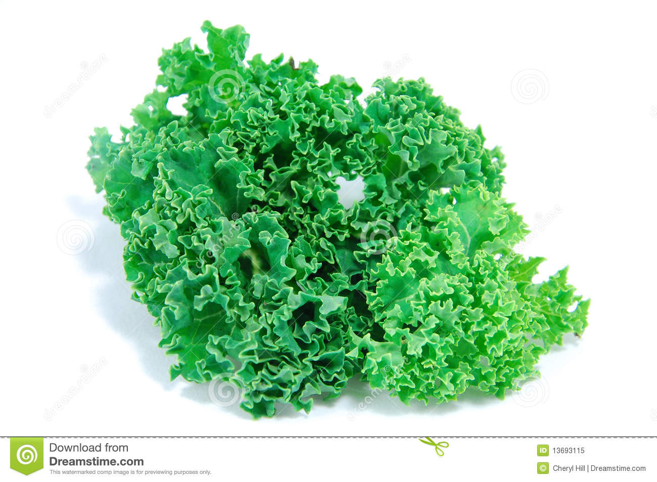 Kale Leaves Royalty Free Stock Photo   Image  13693115