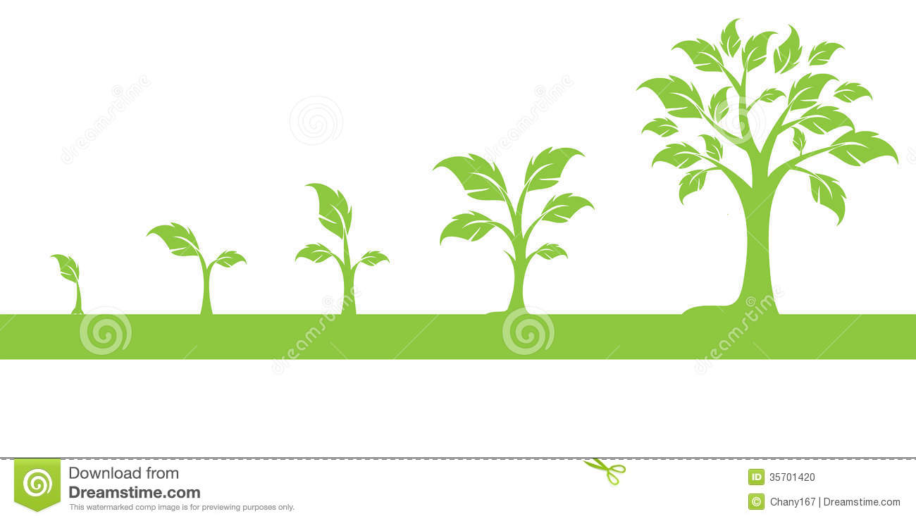 Arbres Funny Growing Trees To Explain Growing Concept 35701420 Jpg