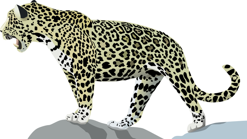 Have A Look At The Jaguar Clipart Pictures In Animal Clipart