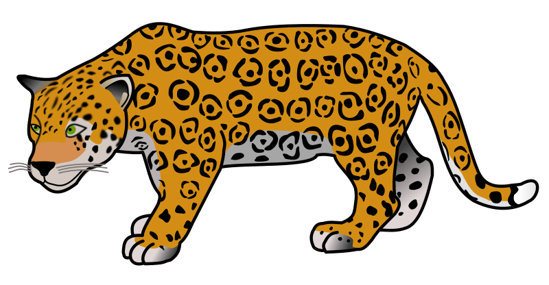 Jaguar By Frankes   Jaguar  Animal 