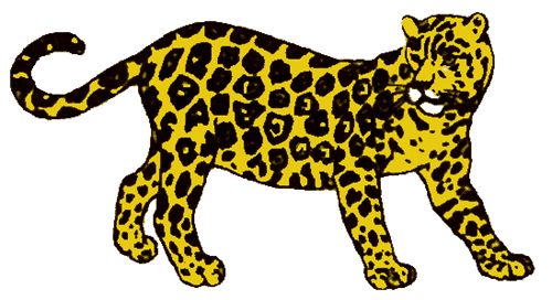 Jaguar Habitat Conservation