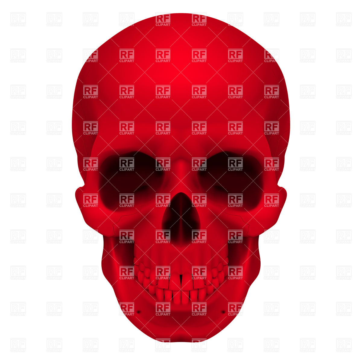Realistic Red Human Skull Download Royalty Free Vector Clipart  Eps