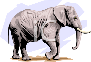 Realistic Style Elephant   Royalty Free Clipart Picture