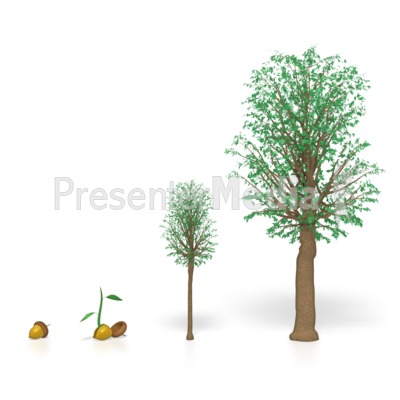 Tree Growing   Wildlife And Nature   Great Clipart For Presentations