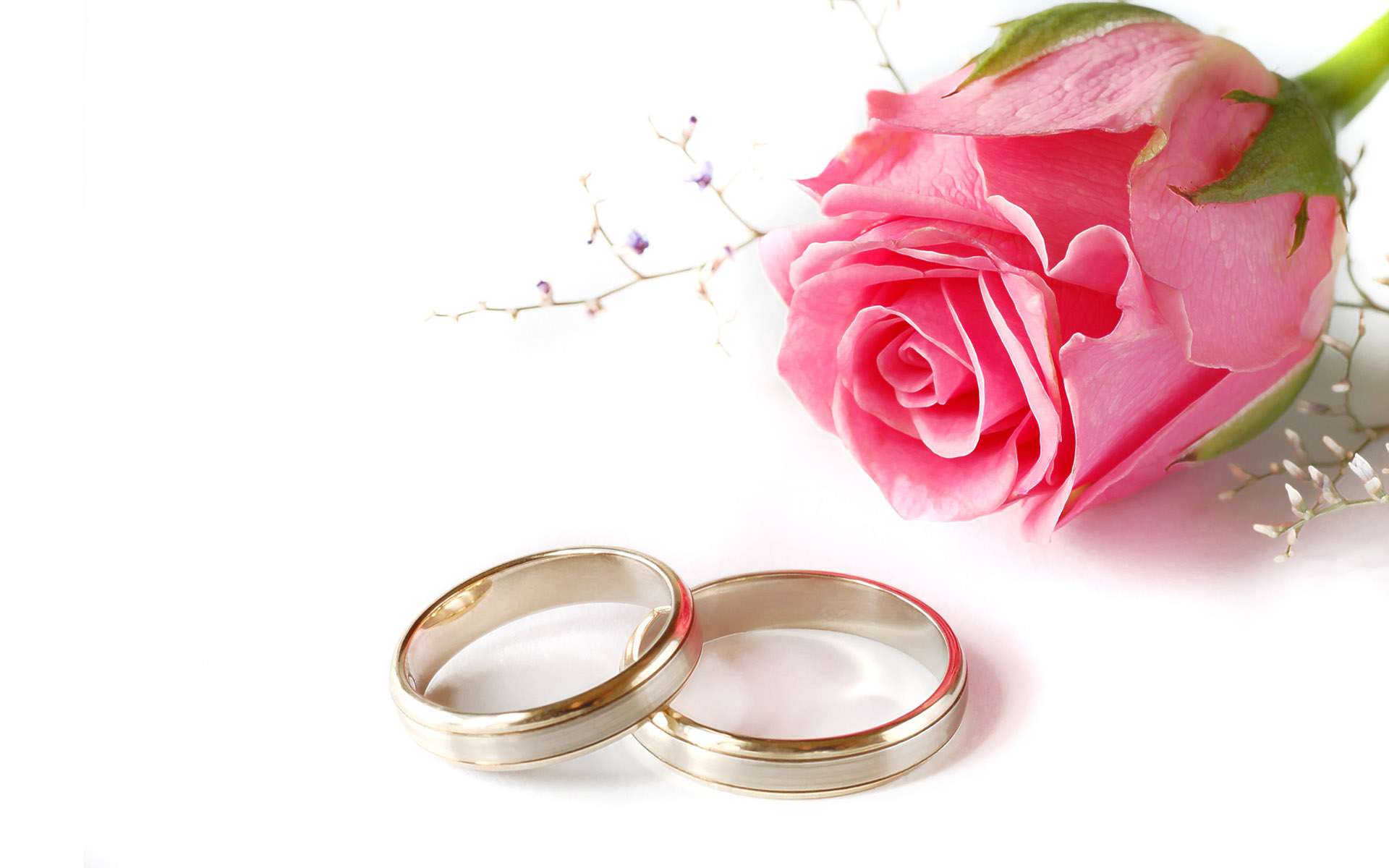 Wedding Pink Rose And Rings Free Ppt Backgrounds For Your Powerpoint    