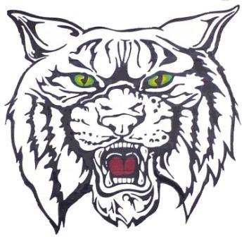 Wildcat Soccer  Harrisonville To Face Logan Rogersville Wildcats At    