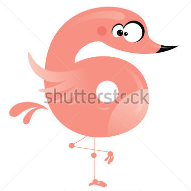 Animals   Wildlife   Number 6 Funny Flamingo Standing In One Leg
