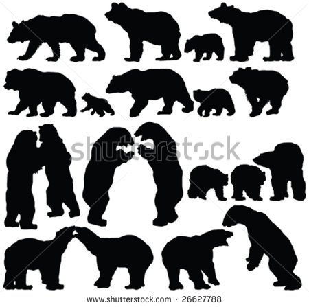 Bears Silhouette Collection   Vector   26627788   Shutterstock