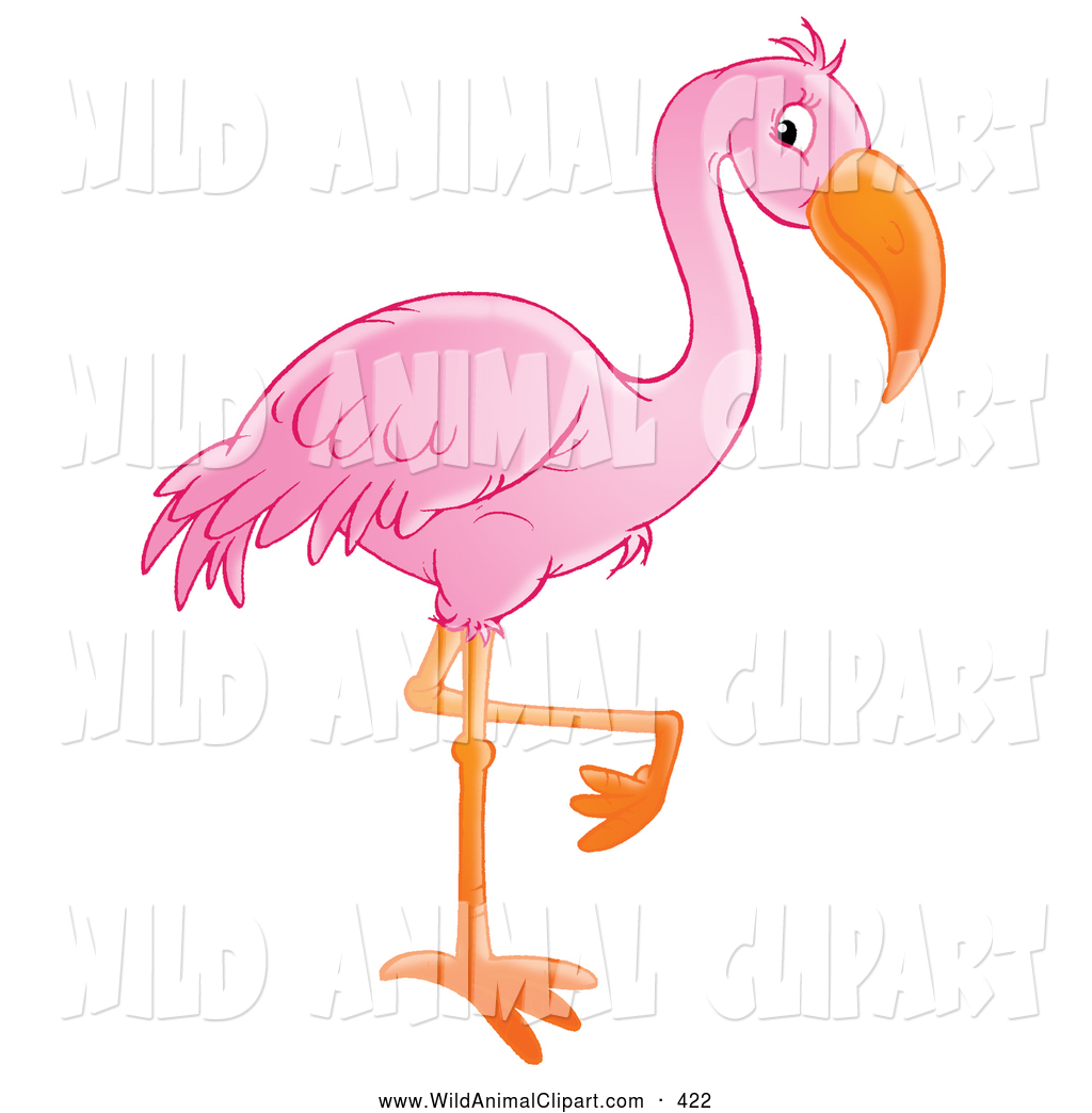 Clip Art Of A Cute Beautiful Pink Flamingo Standing On One Orange Leg