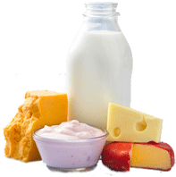 Dairy Dairy Products