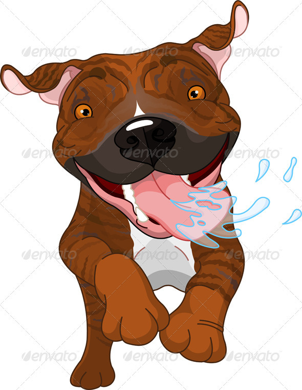 Excited Brindle Pit Bull Dog Running And Drooling  Eps 8 Jpg  High    