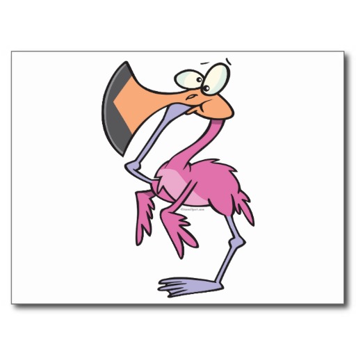 Funny Pink Flamingo With Foot In Mouth Post Card   Zazzle