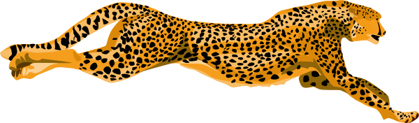 Ha Flosse Leopard Cheetah Clip Art At Clker Com   Vector Clip Art