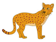 Leopard Clipart And Graphics
