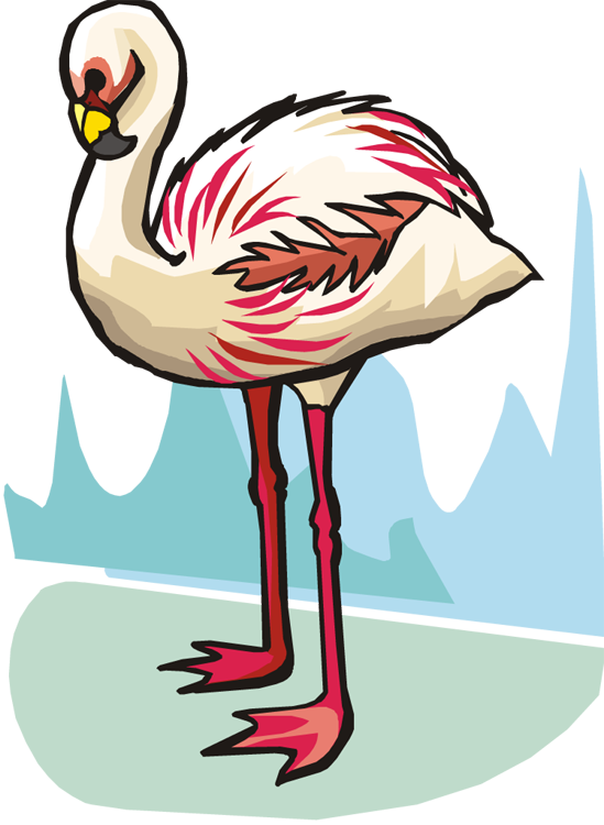 Related Pictures Funny Flamingo Bird Clipart Graphic