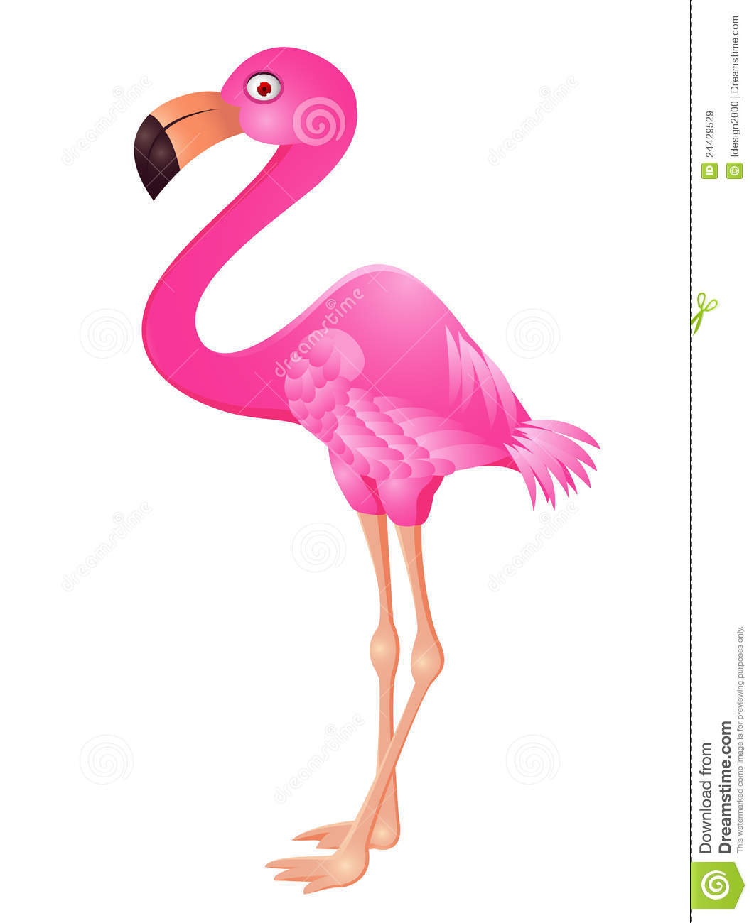 Royalty Free Stock Images  Funny Flamingo Cartoon  Image  24429529