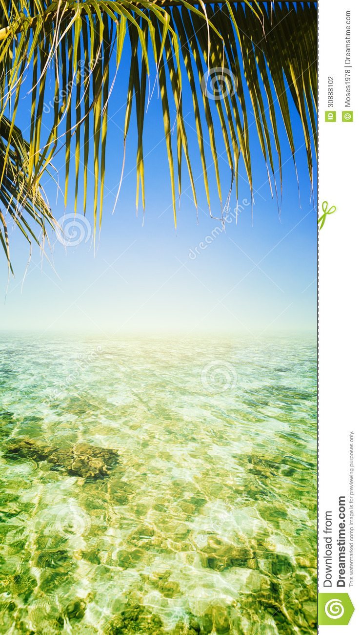 Tropical Sea Stock Photography   Image  30888102