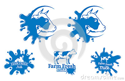 Vector Design Template  Dairy Farm Fresh Products Label Concept
