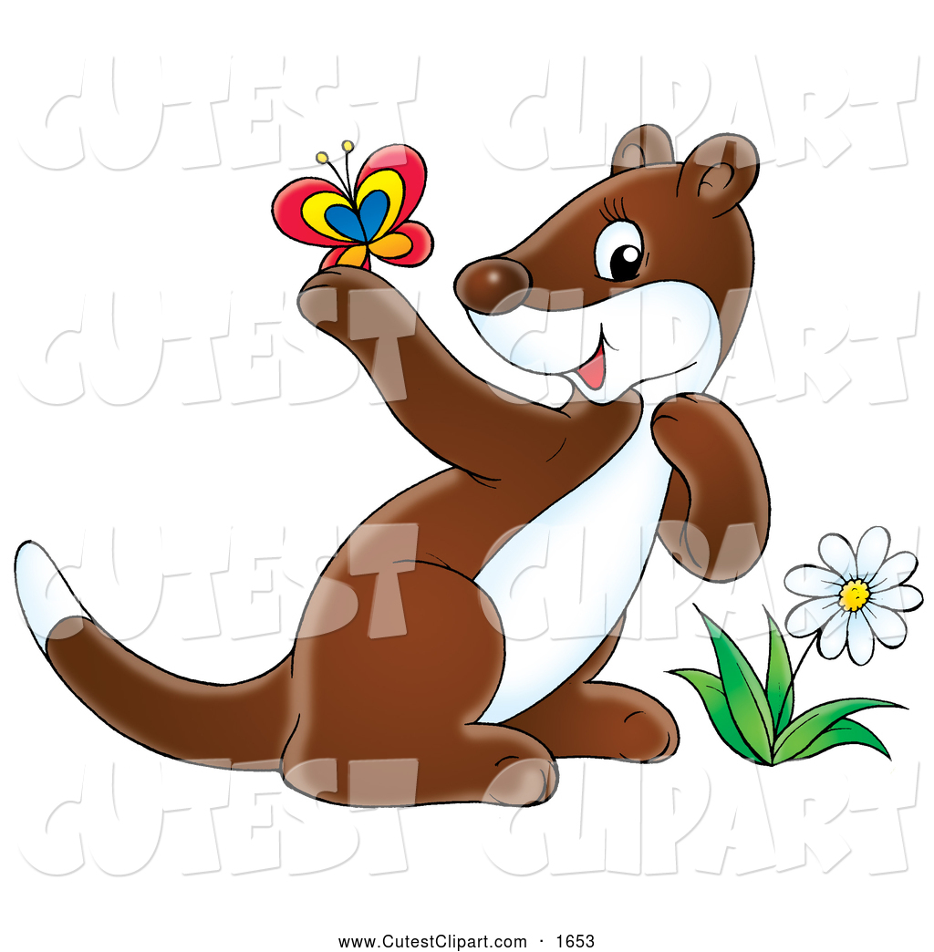 Cheerful Cute Brown And White Ferret By A Flower Admiring A Butterfly