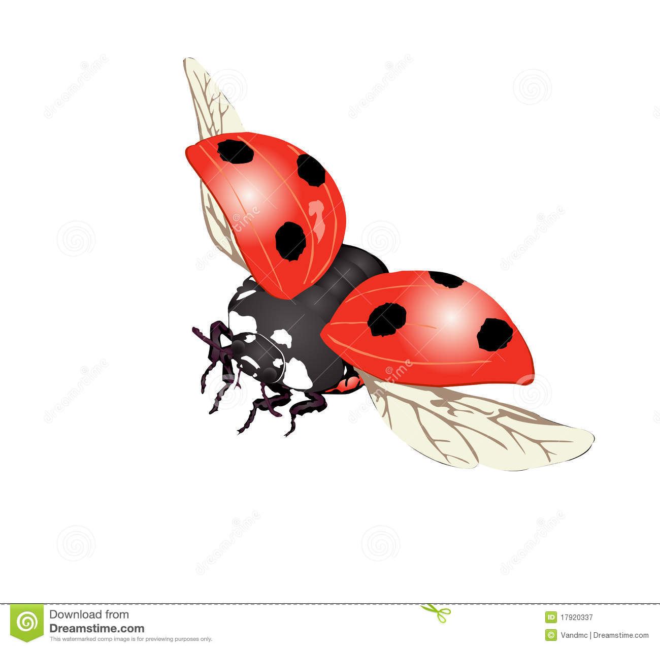 Flying Ladybug Clipart Black And White Ladybug In Fly Illustration