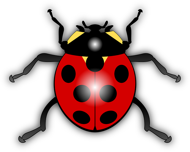 Flying Ladybug Drawing Ladybug Ladybird Animal Bug Flying Insect Dots