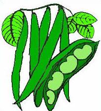 Free Pea Plant Clipart