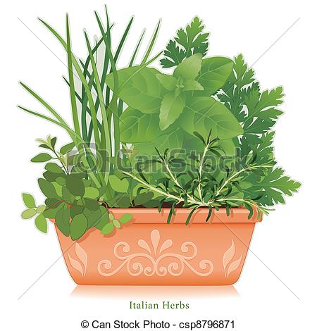 Herb Garden    Csp8796871   Search Clipart Illustration Drawings