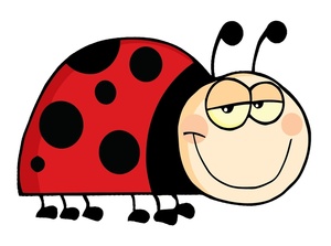 Ladybug Flying Clipart   Clipart Panda   Free Clipart Images