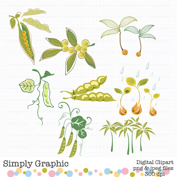 Palm Tree Sweet Pea Digital Clipart Plant Nature Green Instant    
