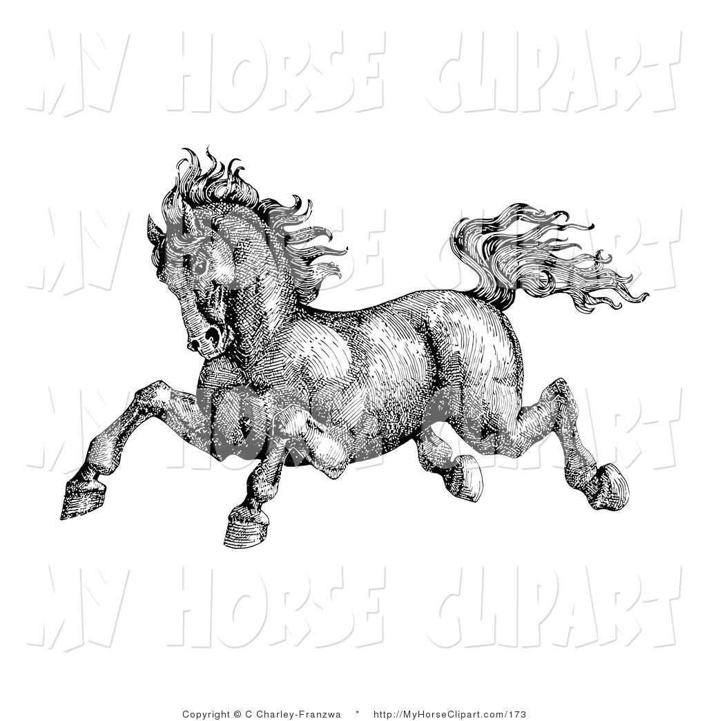 Pen And Ink Drawing Of A Muscular Victorian Horse Running To The Left