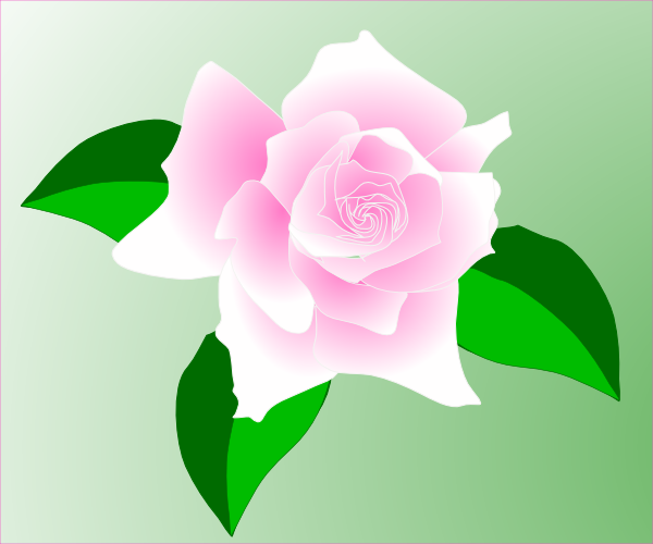 Pink Rose Clip Art At Clker Com   Vector Clip Art Online Royalty Free    