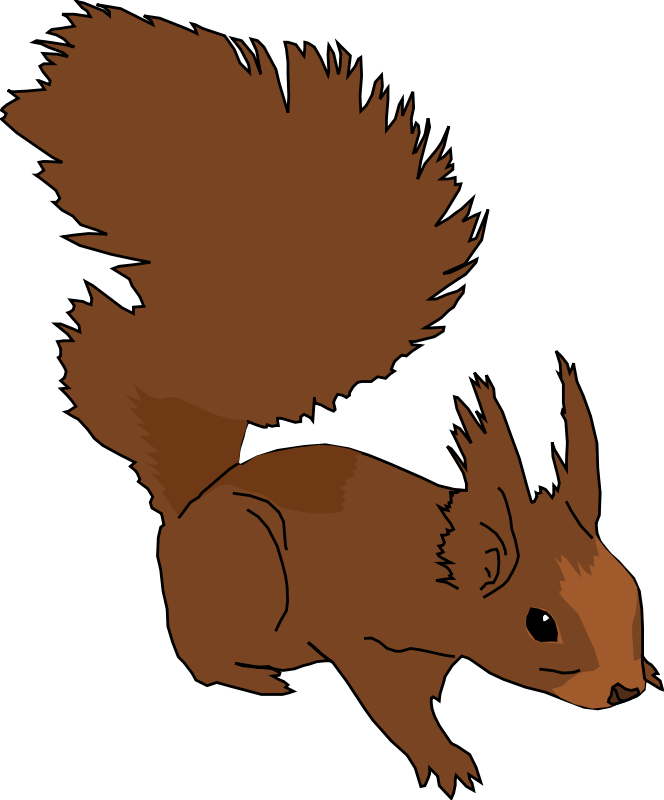 Squirrel Clip Art Royalty Free Animal Images   Animal Clipart Org