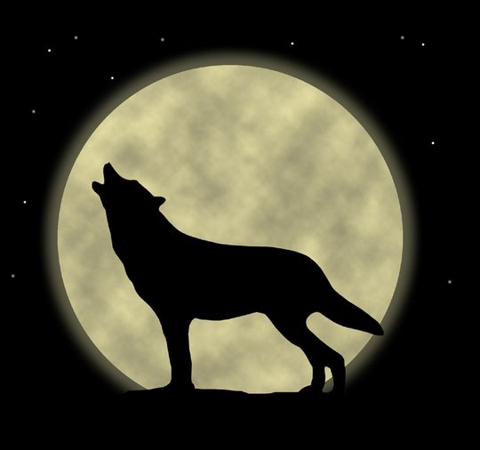 Cartoon Wolf Howling Moon   Clipart Best