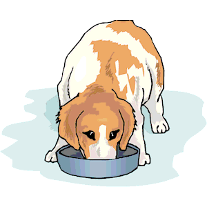 Dog Eating Clipart Cliparts Of Dog Eating Free Download  Wmf Eps