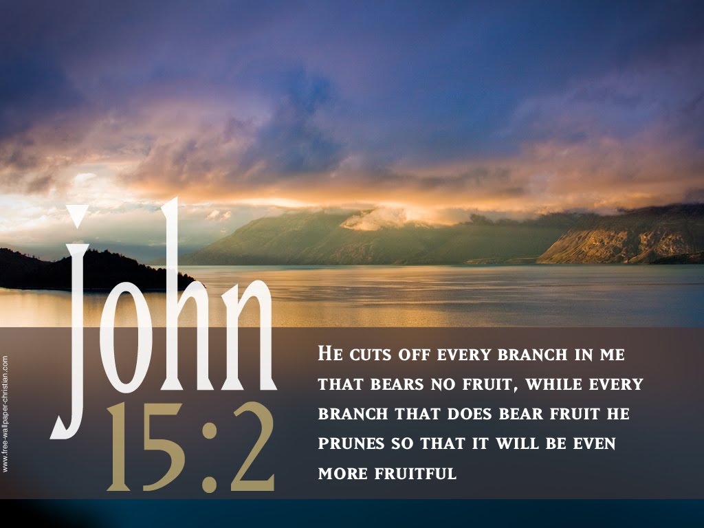 John 15 2   Fruitfulness Wallpaper   Christian Wallpapers And