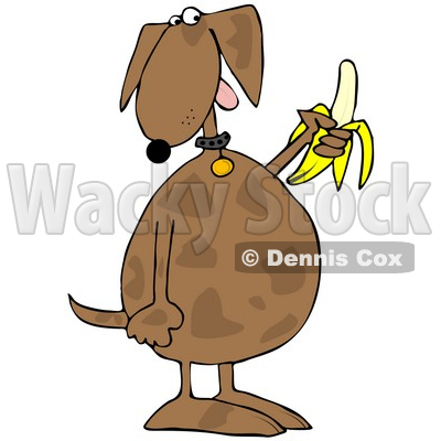 Royalty Free  Rf  Clipart Illustration Of A Brown Dog Eating A Banana