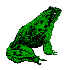 Free Frogs Clip Art