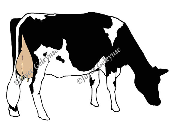 Items Similar To Digi Stamp Hand Drawn Clip Art Holstein Cow