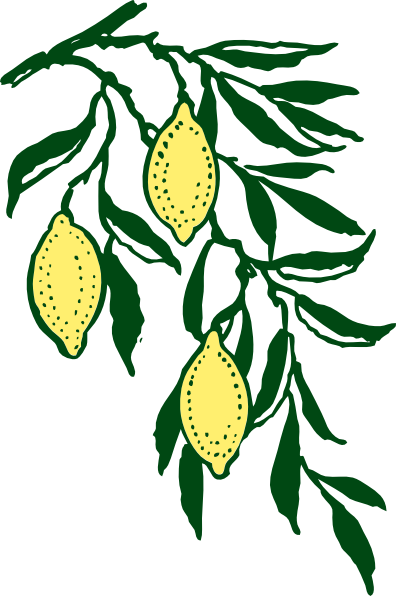Lemon Branch Clip Art At Clker Com   Vector Clip Art Online Royalty