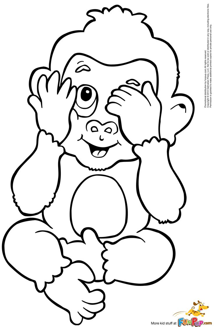 Peek A Boo Monkey  0 00  Adult Coloring Kid Coloring Coloring Pages