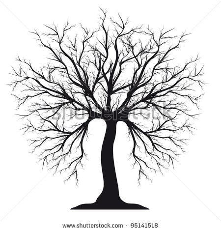 Tree Without Leaves Stock Photos Illustrations And Vector Art