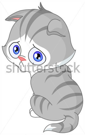 Download Source File Browse   Animals   Wildlife   Sad Kitten