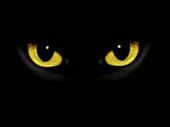 Eyes Watching Clipart Cat Eyes In Dark Night
