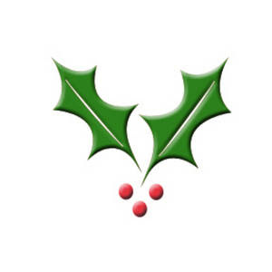 Holly Leaf   Represents Immortality  It Also Represents The Crown Worn