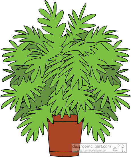 Plants   House Plant In Planter 01   Classroom Clipart