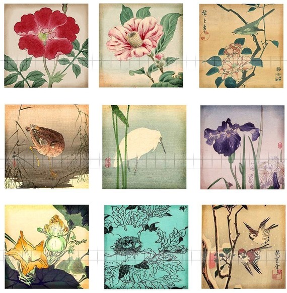 Digital Clipart 1 Inch Squares New Asian Birds And Flowers Gorgeous